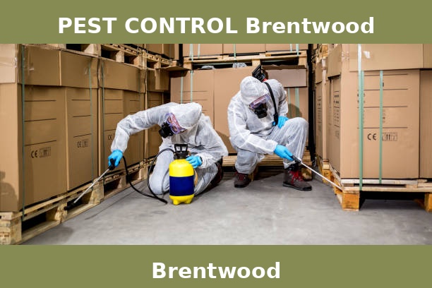 PEST CONTROL Brentwood